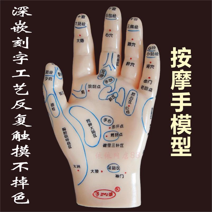 手按摩穴位图手部反射区模型手掌人体经络穴位手心手背刻字模特具