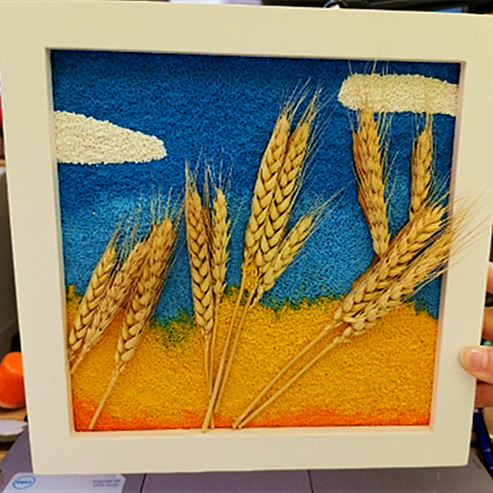 自然系列五谷丰登小麦标本创意手绘diy纸浆画装饰学生填充彩泥画