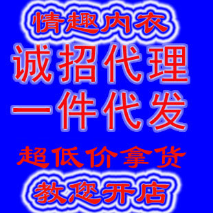 淘宝货源免费代理代销_内衣网店代销(2)