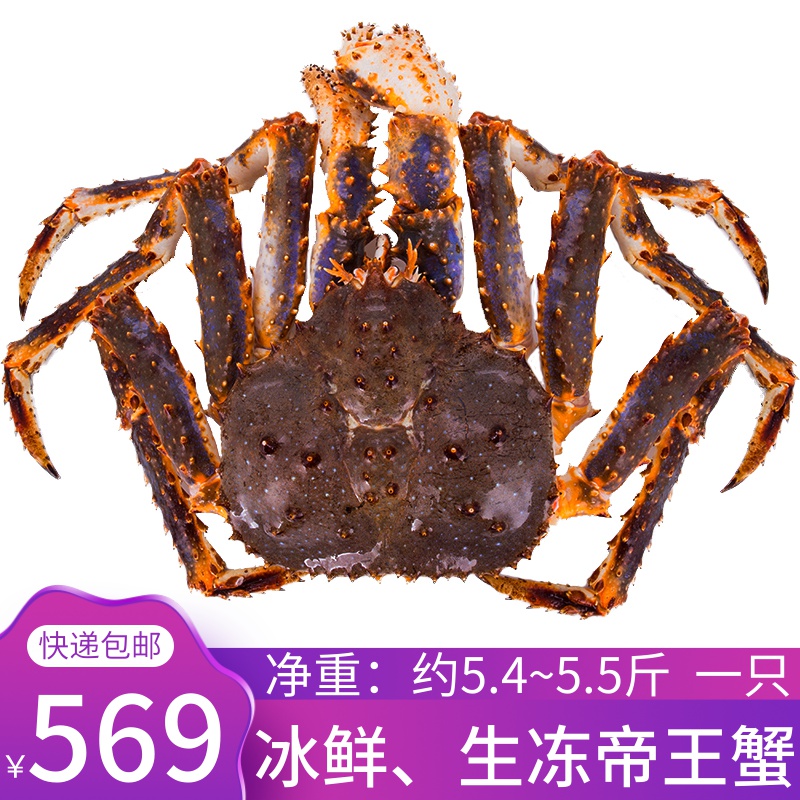 共335 件帝王蟹螃蟹相关商品