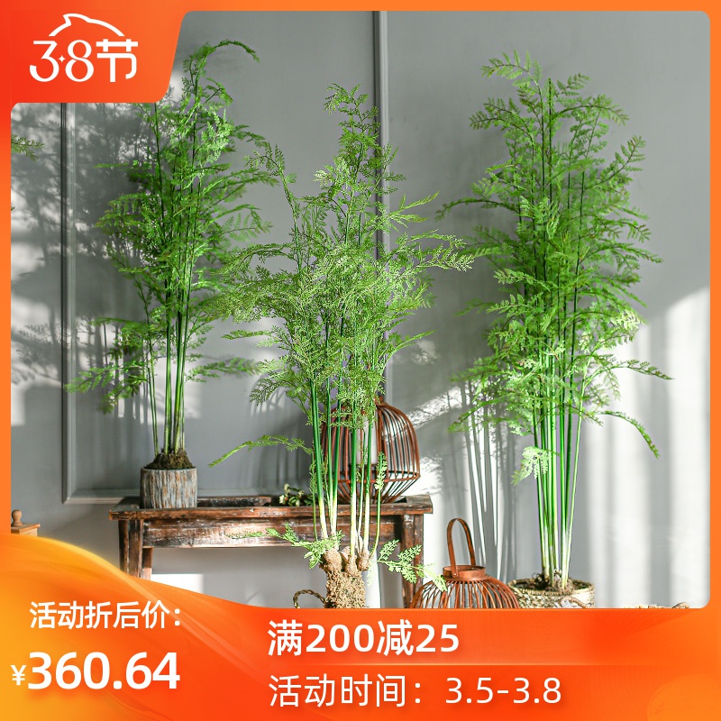 七茉 仿真文昌竹大型氧气蕨类植物绿植盆景假树室内装饰摆件落地