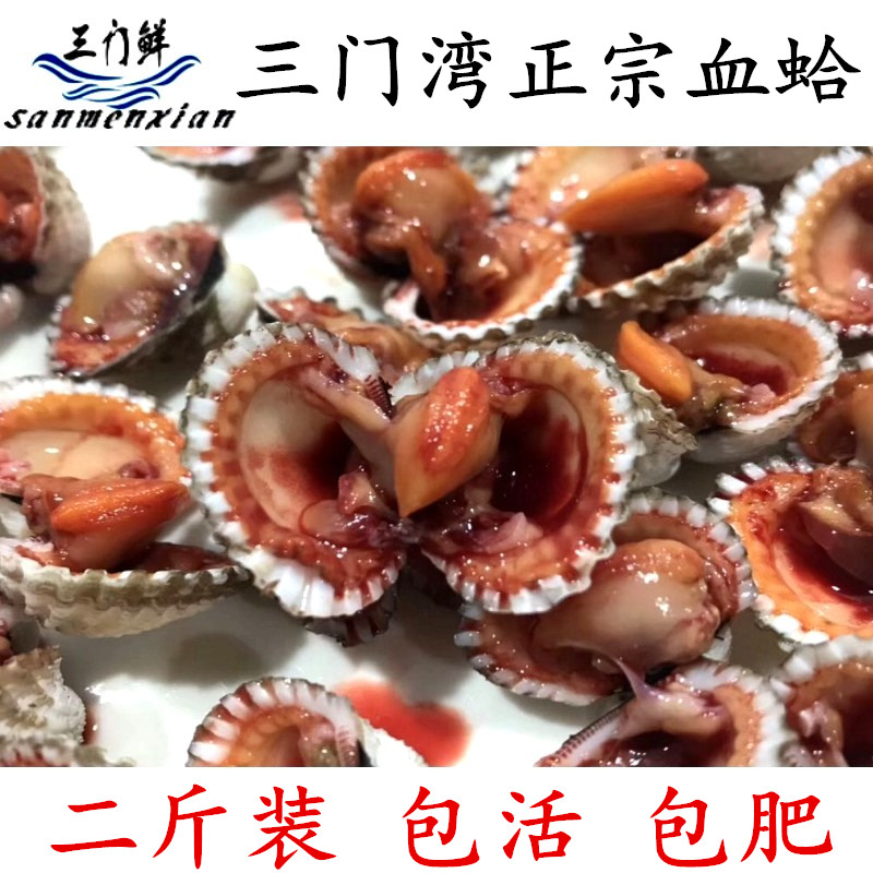 【三门鲜】血贝壳台州小海鲜花蛤特产温州鲜活海鲜血蛤