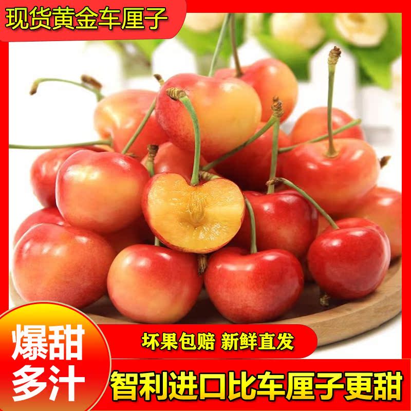 黄樱桃车厘子新品|黄樱桃车厘子价格|黄樱桃车厘子包邮|品牌 淘宝