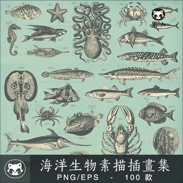 海洋生物鱼海豚龙虾贝壳珊瑚乌龟章鱼水族馆设计插画图形矢量素材