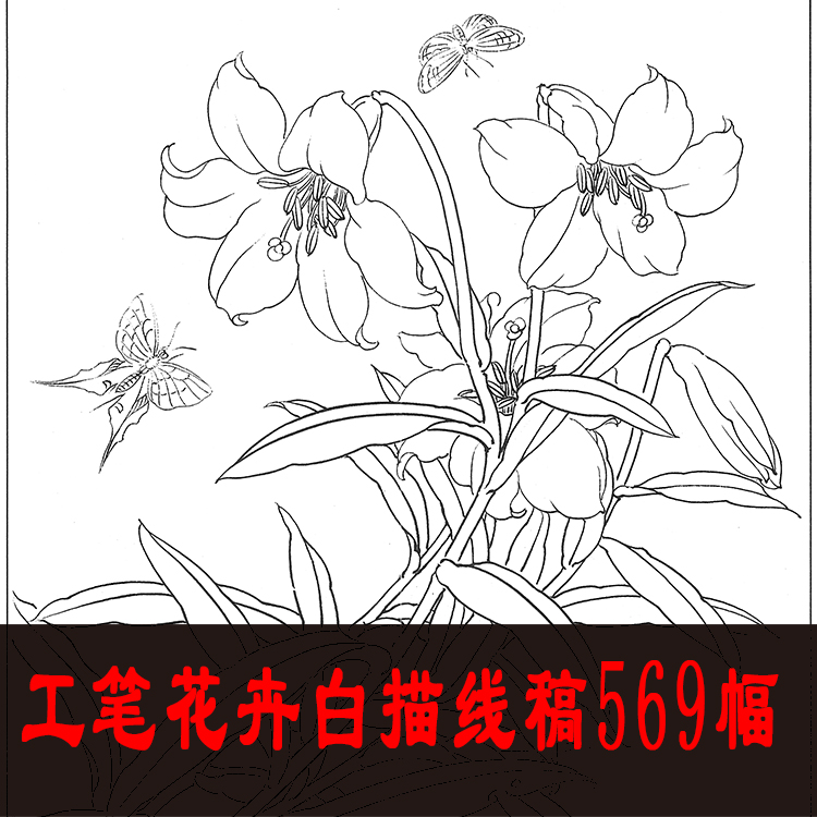 工笔花卉白描线稿569幅合集电子版素材牡丹茶花临摹手绘设计打印