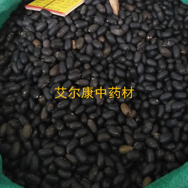 石莲子中药材500g 双肾子 铁莲子菩提子原籽 苦石莲 正品新货连子