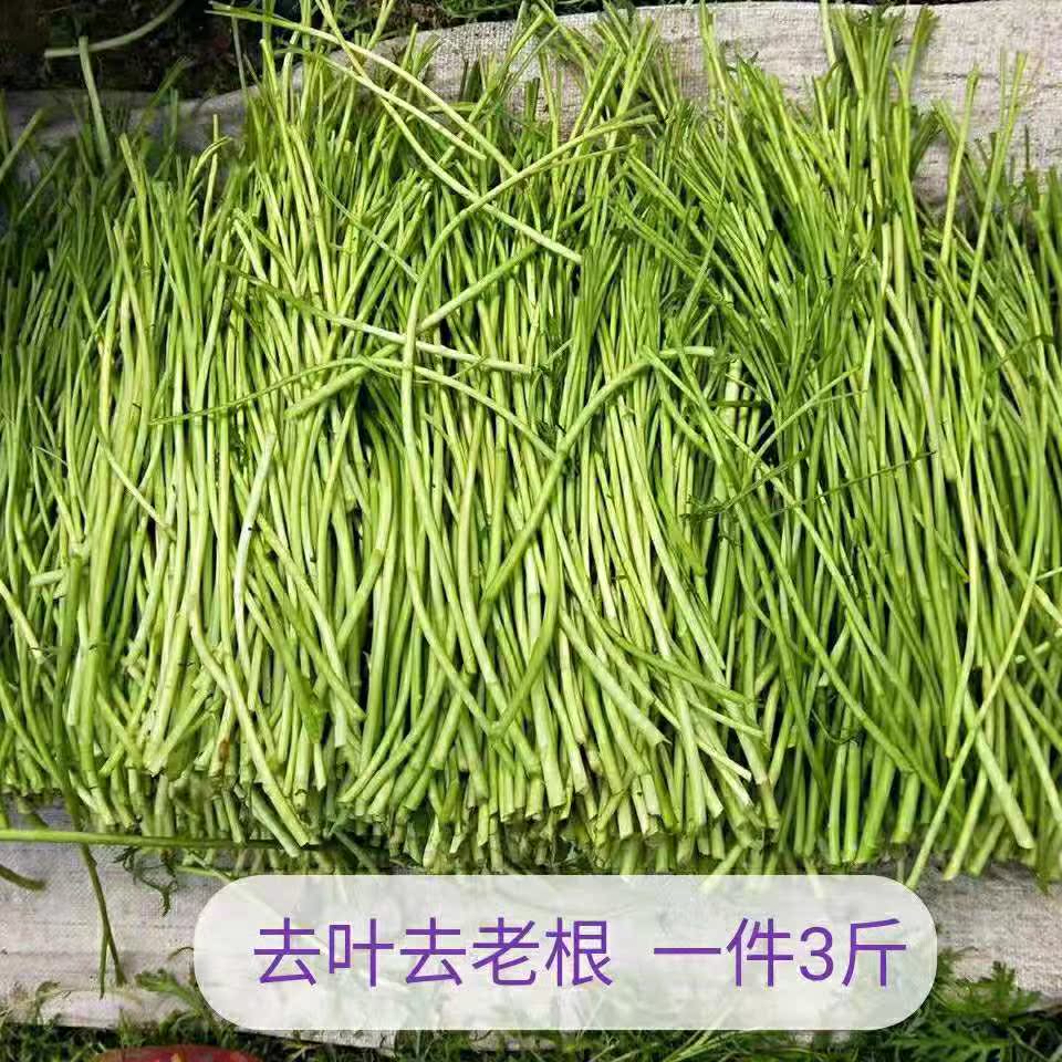 苏北特产芦蒿新鲜净3斤去叶去老根藜蒿篓蒿鲜嫩野菜泥蒿茼蒿