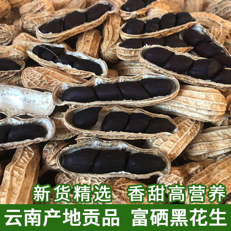 云南特产老品种 富硒黑花生带壳生 新货500g味甜黑皮种籽农家原味