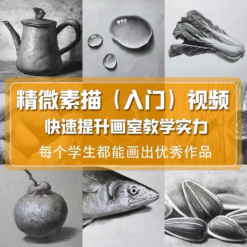 精微素描素材入门基础视频课程教程儿童画室教学课件趣味创意素描