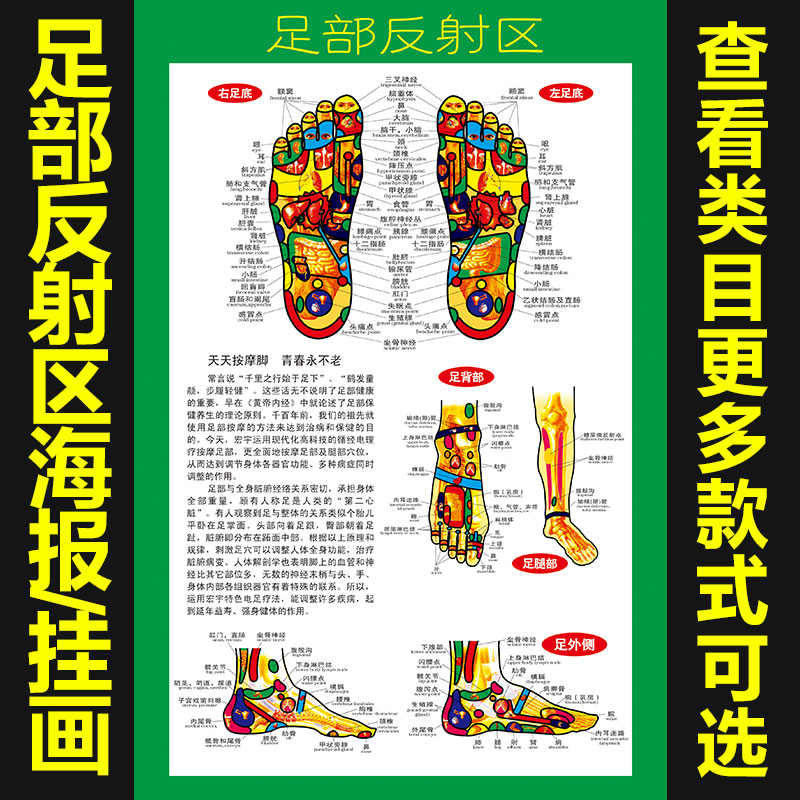 足部反射区大挂图足脚底按摩保健足疗足浴人体经络穴位图海报972