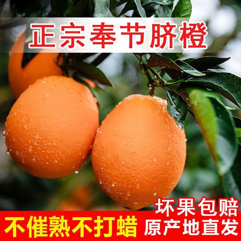 【重庆奉节脐橙】现摘现发新鲜圆虹当季净重9斤孕妇手剥橙子水果