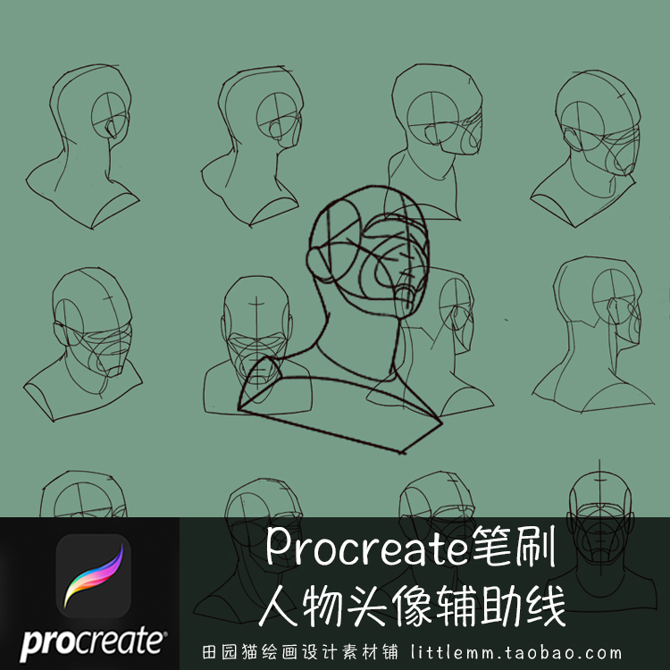 p49procreate画人像的辅助线笔刷头像插画ipad动漫设计素材新品