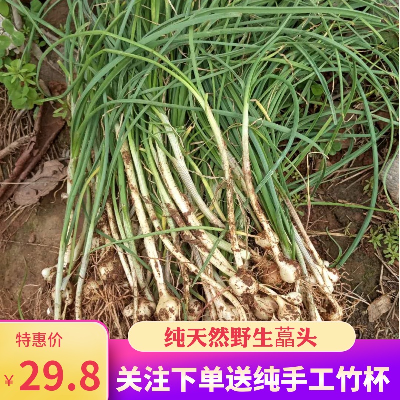 野荞头做法|野荞头食谱|野荞头怎么做|的做法 淘宝海外