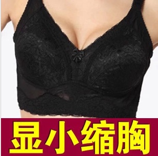 婷美内衣_婷美内衣有用吗