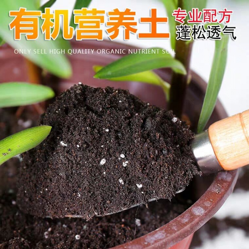 共78 件长白山黑土包邮相关商品