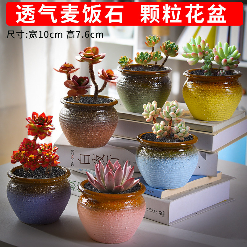 共656 件玉坠花盆相关商品