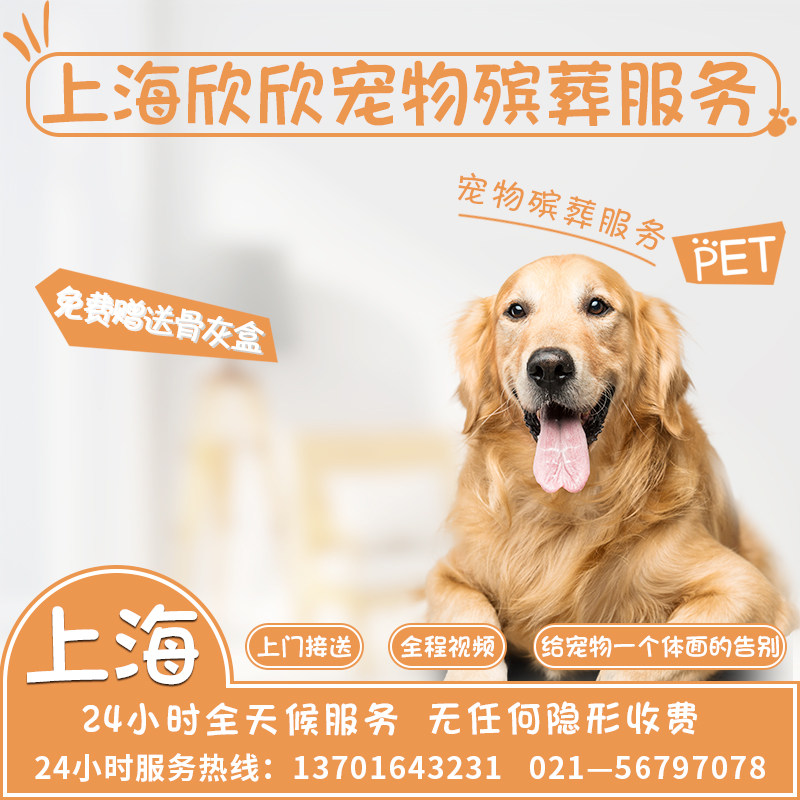 上海宠物火化宠物殡葬动物火化安葬善终狗狗猫咪火化宠物安乐上门