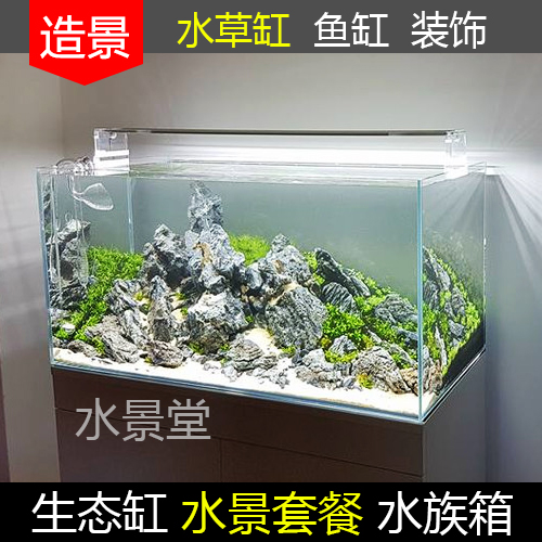 青龙石套餐鱼缸装饰真水草鱼缸水草活体植物水下