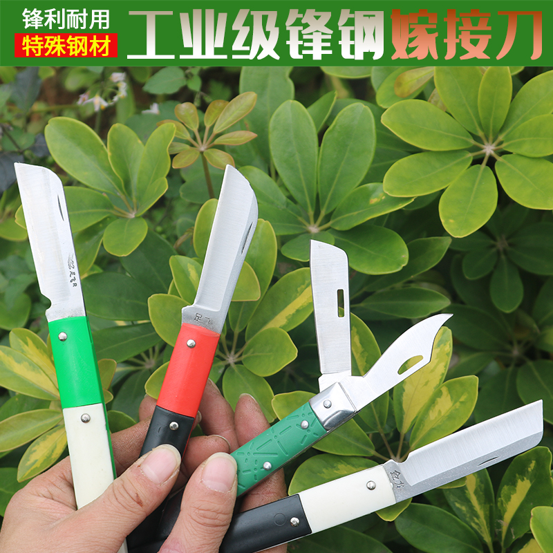 共962 件苗木嫁接器相关商品