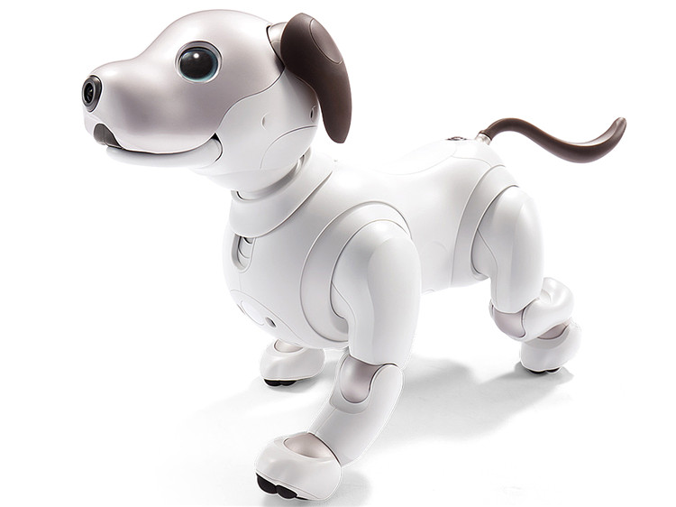 索尼(sony aibo 全新升级款 娱乐机器人 机器狗 包含服务费