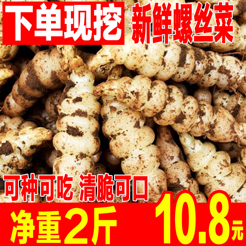 宝塔菜新鲜螺丝菜菜葫芦草食蚕2斤农产品发芽种子农家特色蔬菜