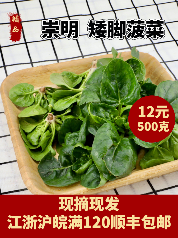 上海崇明本地矮脚菠菜崇明特产小菠菜巴奴笨菠菜绿色生态蔬菜包邮