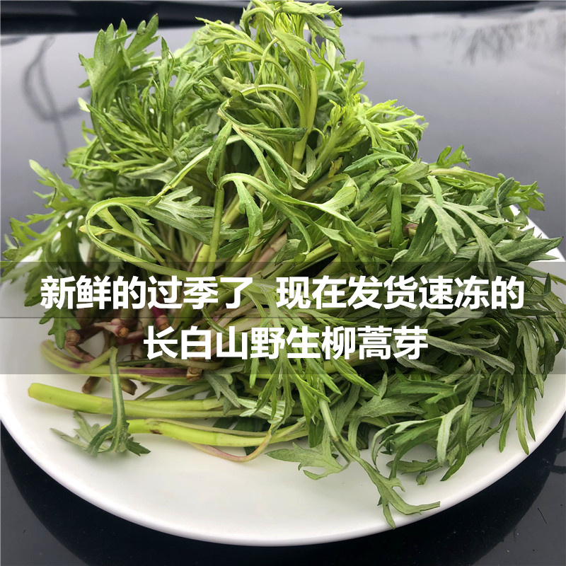 东北新鲜速冻山野菜柳蒿芽1000克满包邮水蒿蘸酱菜保温箱加冰袋