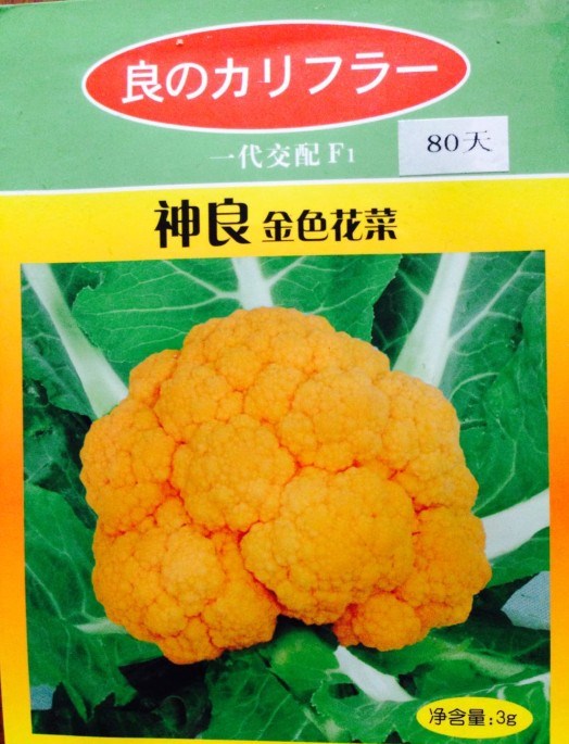 日本进口金黄色花椰菜 神良金色花菜种子 西兰花种子 菜花种子