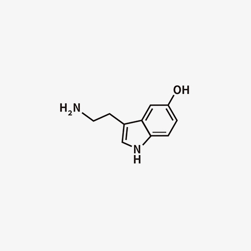 桃山化学分子5羟色胺(血清素)仿真刺青锁骨防水ins风纹身贴纸