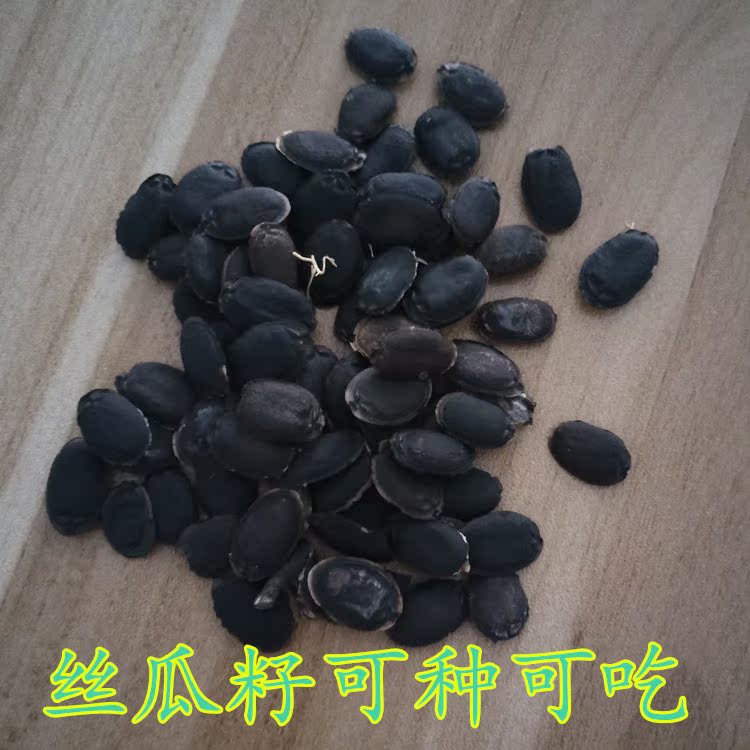 丝瓜籽 中药材老丝瓜子 干丝瓜种子可种植生丝瓜籽500g1斤装
