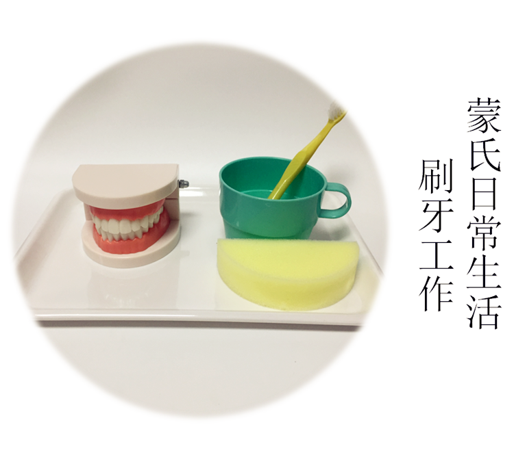 蒙氏日常生活刷牙教具 认识牙齿 幼儿园牙刷牙齿假牙口腔模型玩具