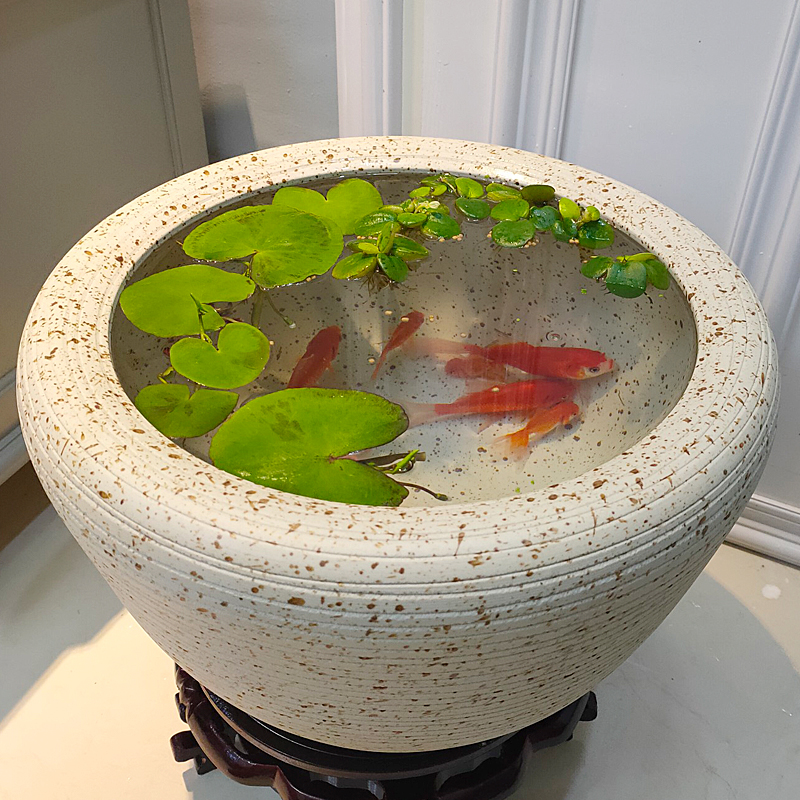陶瓷养鱼缸水缸室外庭院老式复古乌龟缸荷花缸睡莲水缸造景金鱼缸