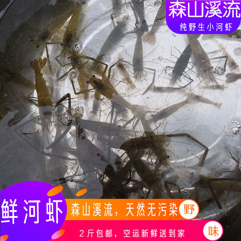 贵州清水河虾野生新鲜小青虾现捕小河虾米1斤非鲜活小草虾冰鲜发