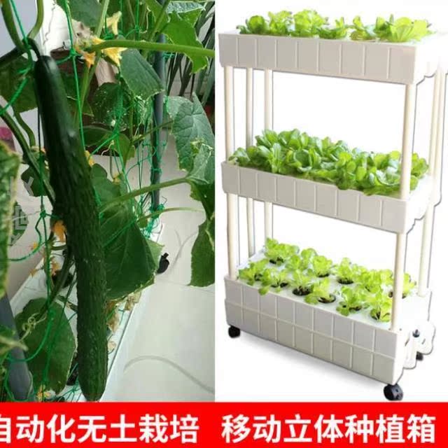 家用种菜水培设备豆苗种植盆菜盆盆栽蒜苗纸上小麦容器韭菜室内