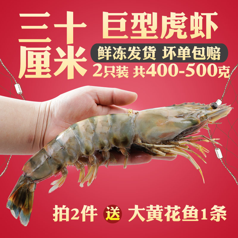 巨型老虎虾鲜活超大青岛大虾特大冷冻海鲜新鲜野生冰冻越南黑虎虾