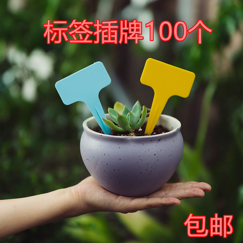 共103 件菜园牌相关商品