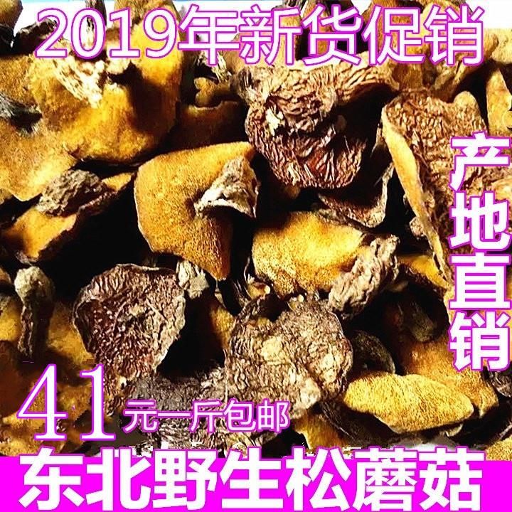 共121 件东北蛾子松蘑菇相关商品