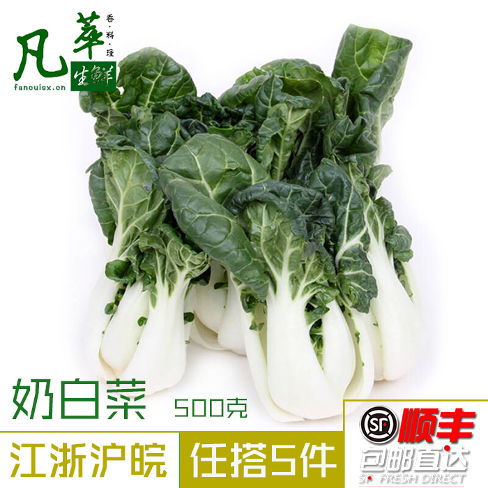 共889 件奶白菜相关商品