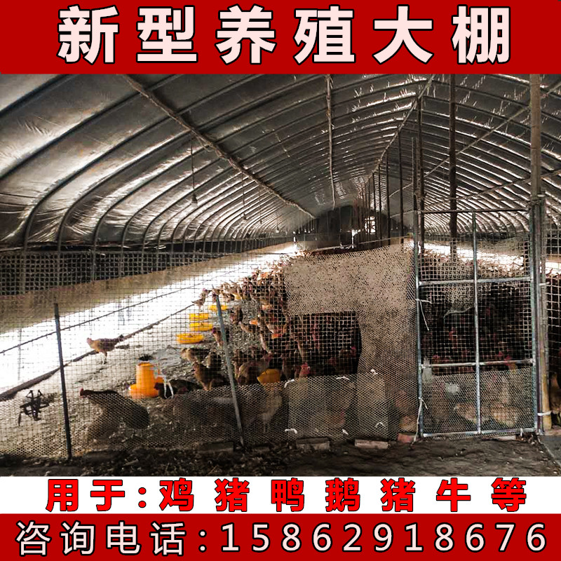 养殖大棚骨架钢管全套鸡舍保温隔热养鸡猪大棚养鸡场鸡棚搭建一品