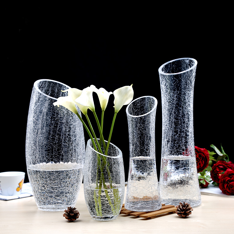 共101 件冰裂玻璃花瓶相关商品
