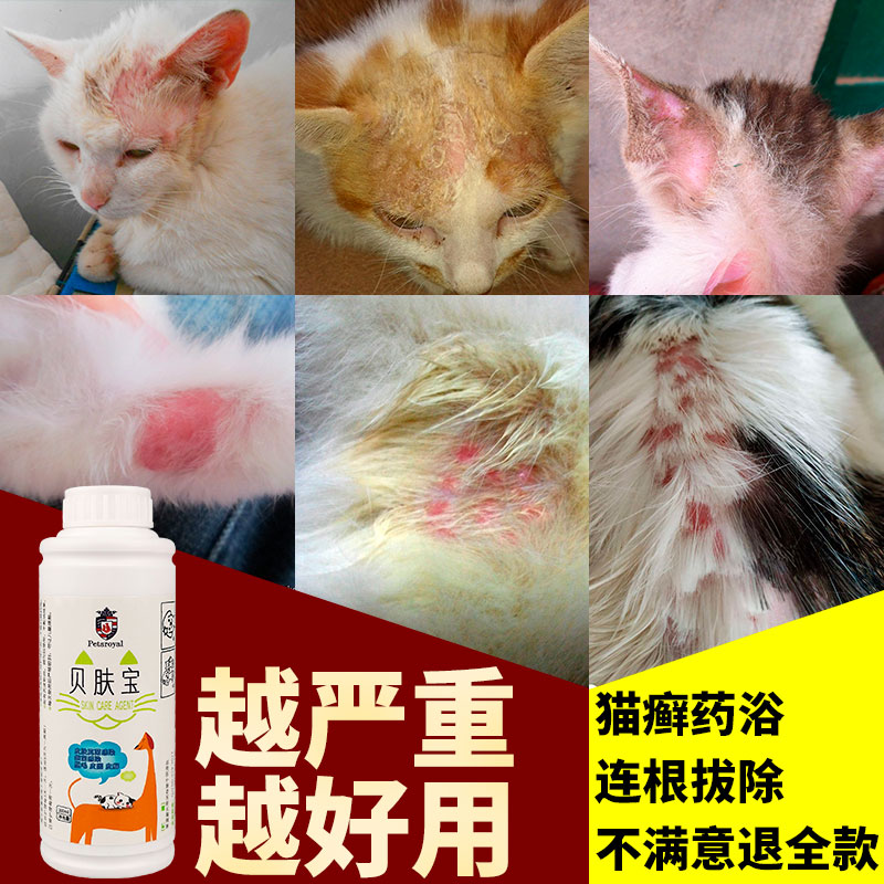 药浴治猫癣猫藓外用药猫咪皮肤病专用幼猫真菌液止痒皮屑宠物用品