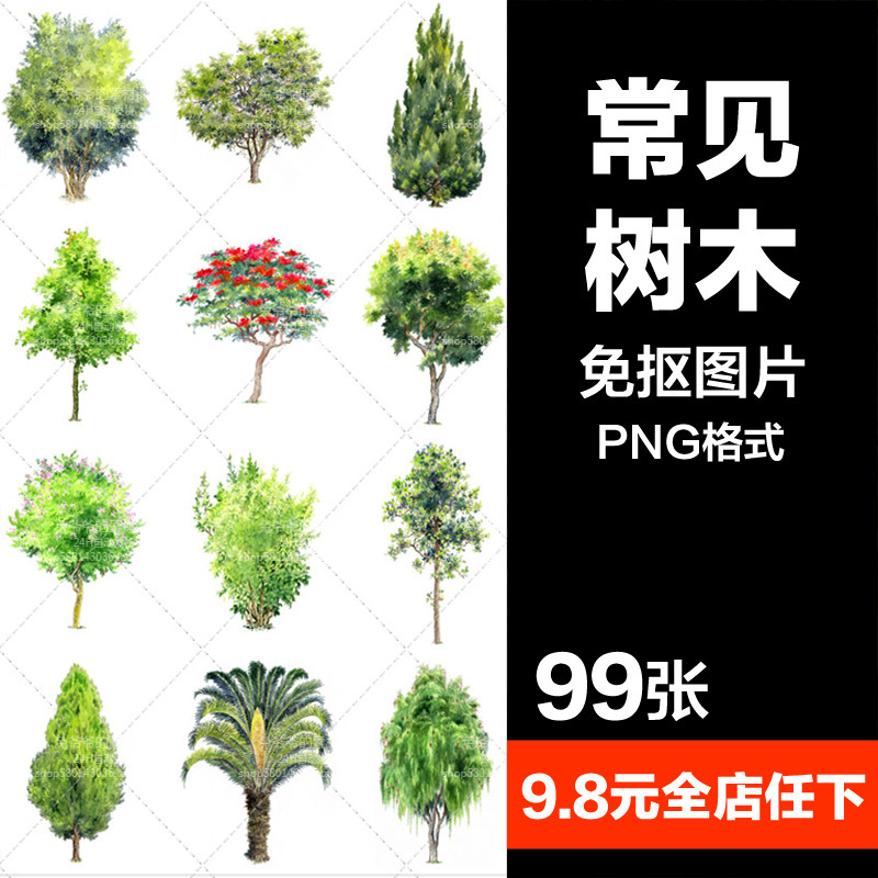 唯美水彩手绘常见树木灌木树叶盆栽园艺png免扣透明ps设计素材