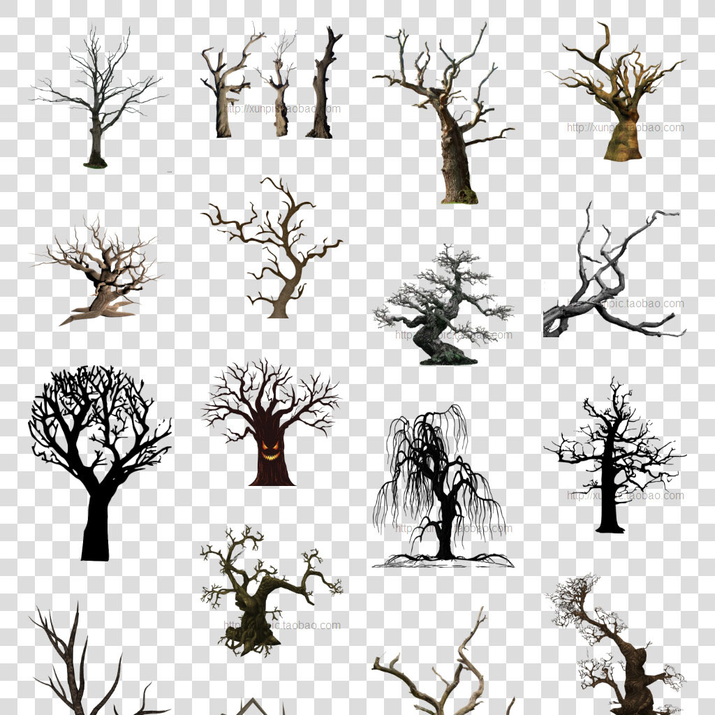枯树大树png免抠图片万圣节的树 免扣素材 枯枝 大树 剪影 树干