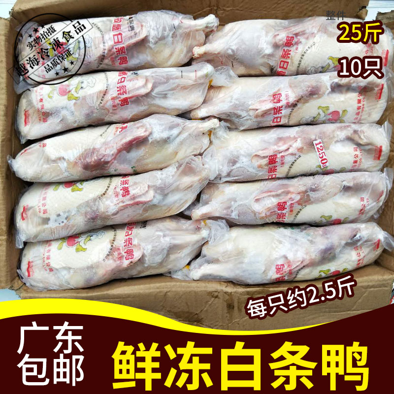 共171 件冻鸭子白条鸭相关商品