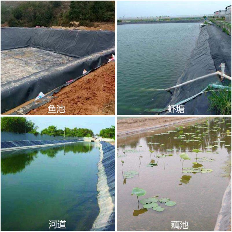 塑料膜鱼塘防渗膜蓄水池防水布垃圾加厚河道虾池鱼池护坡隔水漏水