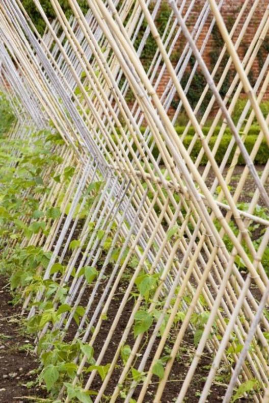 围栏竹竿骨架爬藤架苦瓜花盆包塑瓜架青瓜四季豆花支架简约花园绿