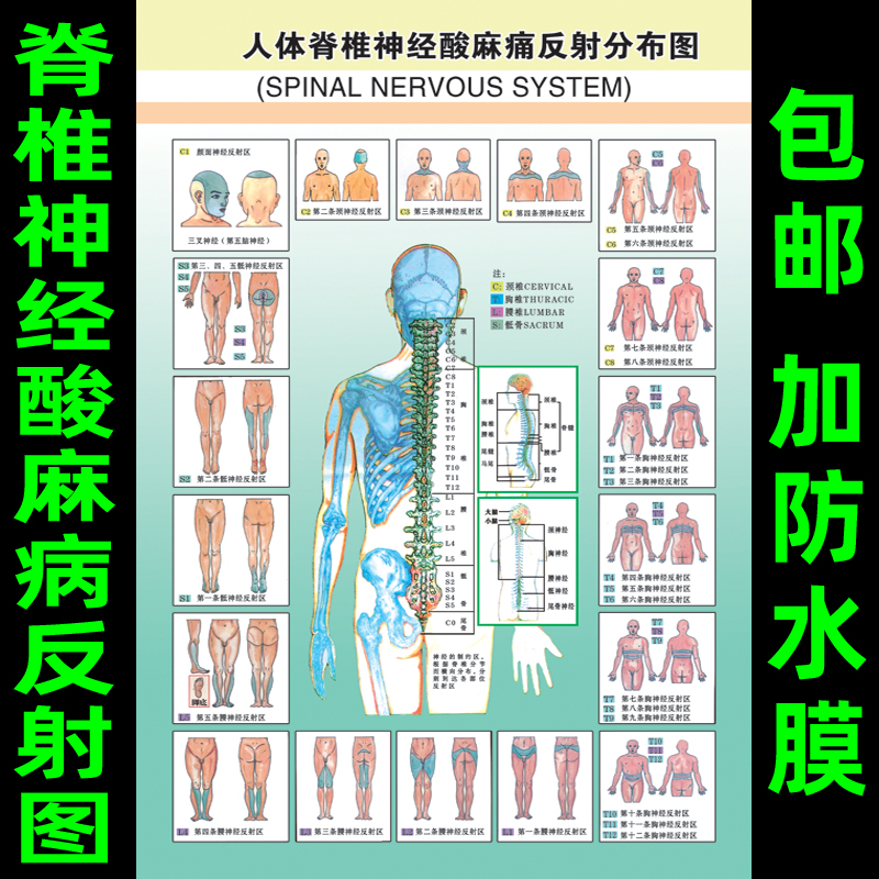 共144 件人体全息图相关商品