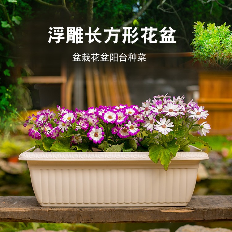 爱丽思树脂长方形多肉植物盆仿陶瓷塑料阳台种菜长条简约大号花盆