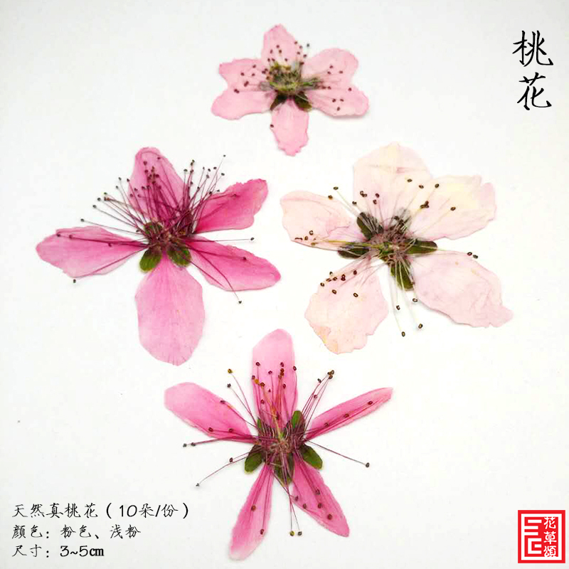 干花书签diy材料天然桃花瓣化妆面部贴花手工押压花真植物标本