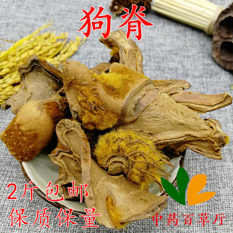 狗脊野生功效|狗脊野生的功效|狗脊野生副作用|的功效